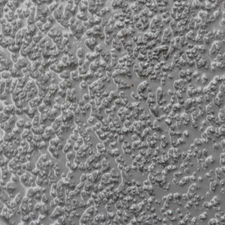 Oxyde d'aluminium grain moyen 5kg 